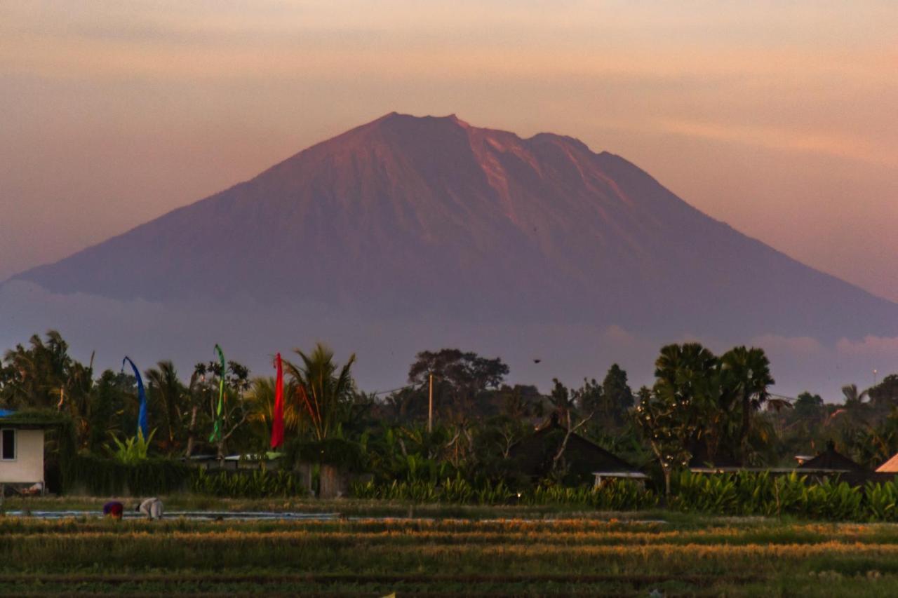 Gajah Villa By Betterplace Canggu Kültér fotó